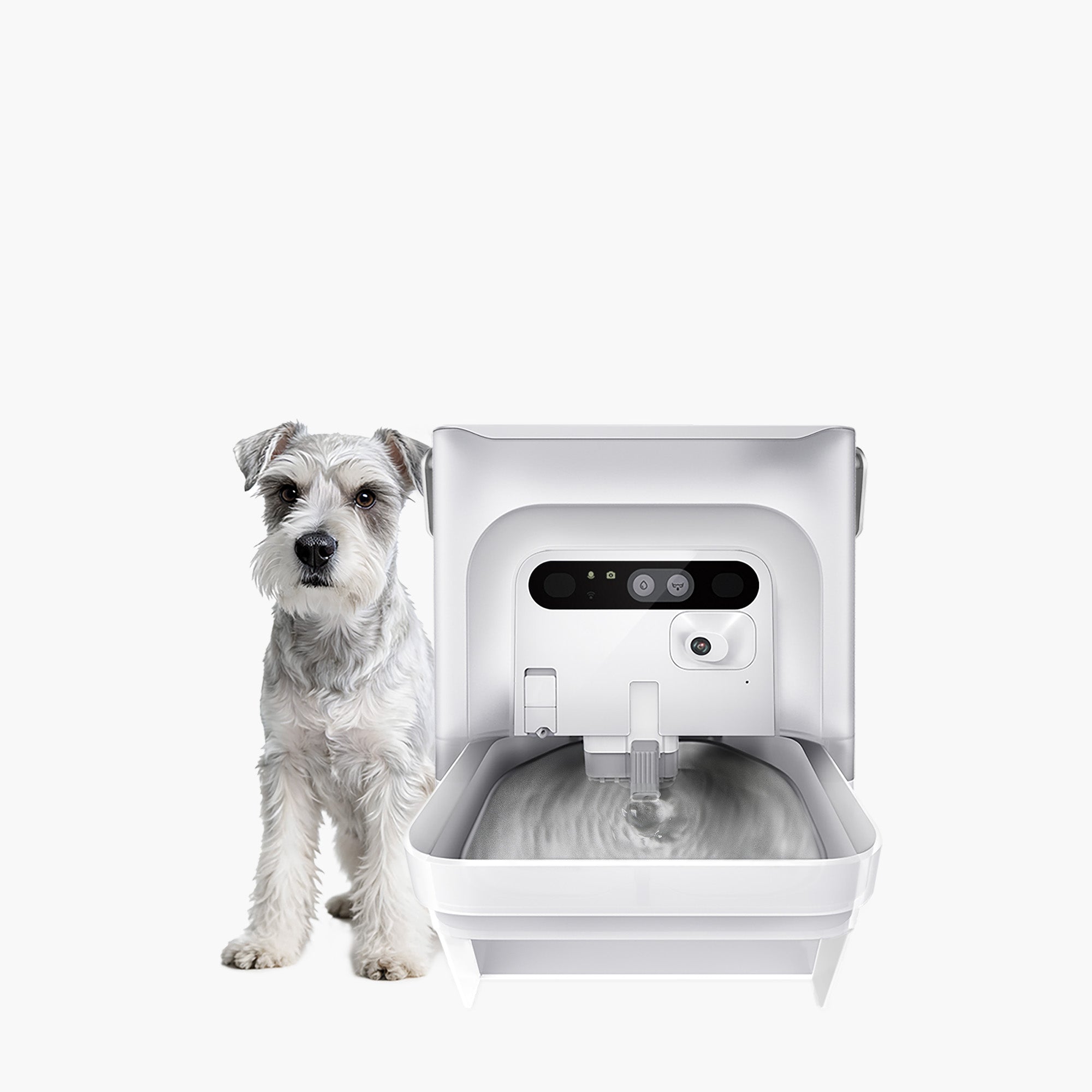 Premium Smart Water Fountain